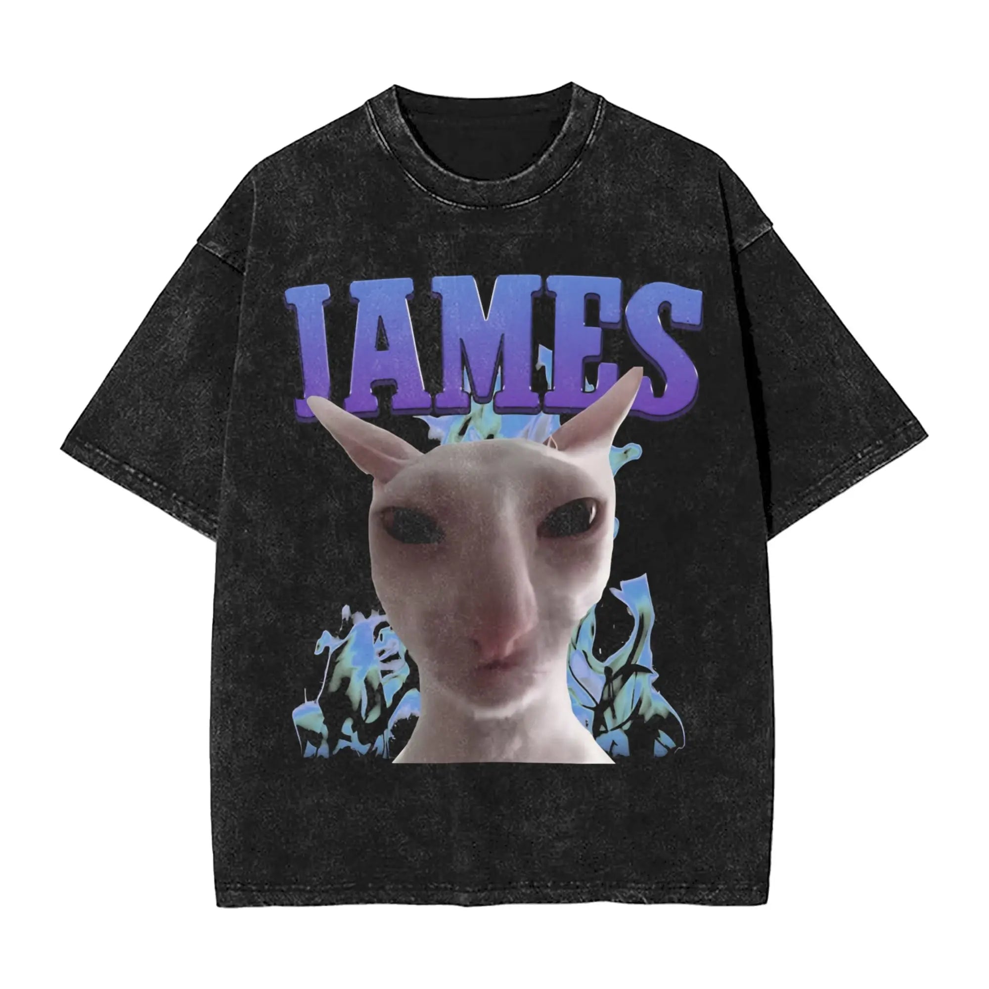 I'm Gonna Oil You Up Cat Meme