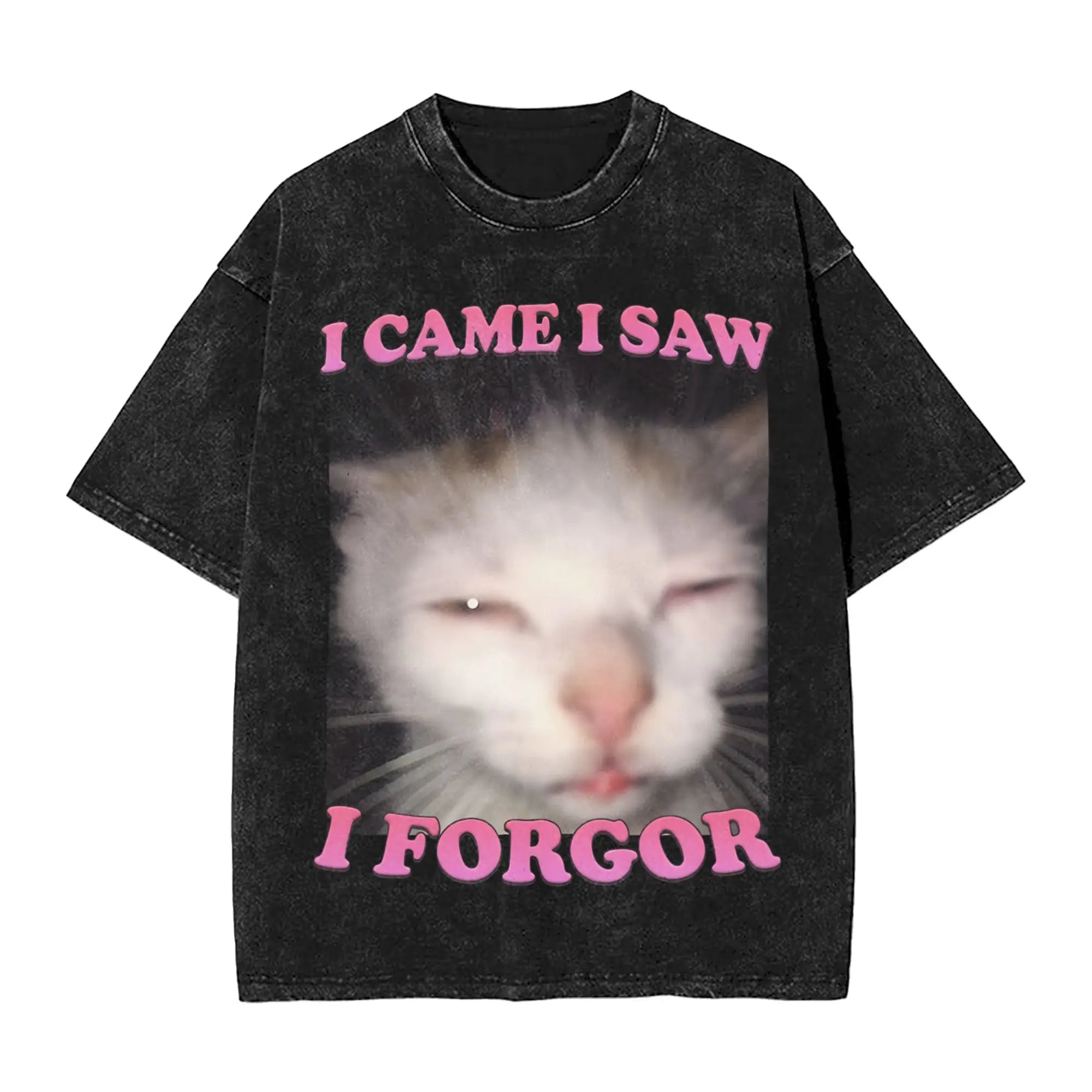 I'm Gonna Oil You Up Cat Meme